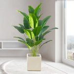 Charger l&#39;image dans la galerie, 1pc Artificial Plants Large Tropical Palm Tree Fake Banana Plants Leaves Real Touch Plastic Monstera For Home Garden Party Decor

