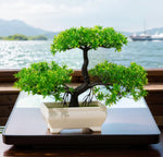 Charger l&#39;image dans la galerie, Artificial Plants Bonsai Small Tree Simulation Pot Plants Fake Flowers Table Potted Ornaments for Hotel Garden Home Decor planta
